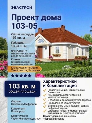 103-05  -  проект европейского узкого одноэтажного дома 13 на 10