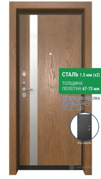 Входная металлическая дверь ДС 2  6 Нео Ш 09