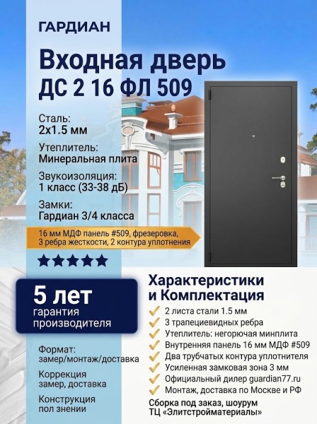 Входная металлическая дверь ДС 2  16 ФЛ 509